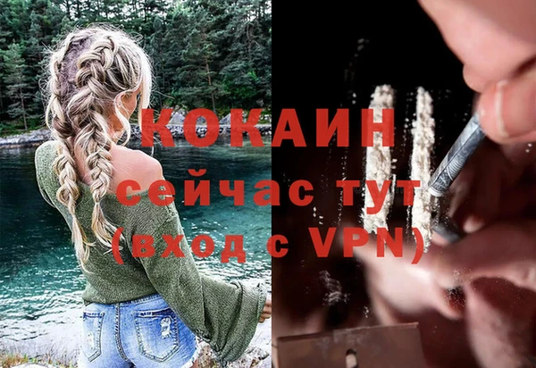 apvp Арсеньев