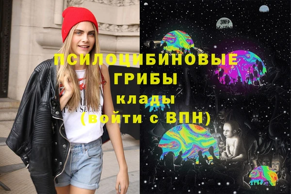a pvp Пестово