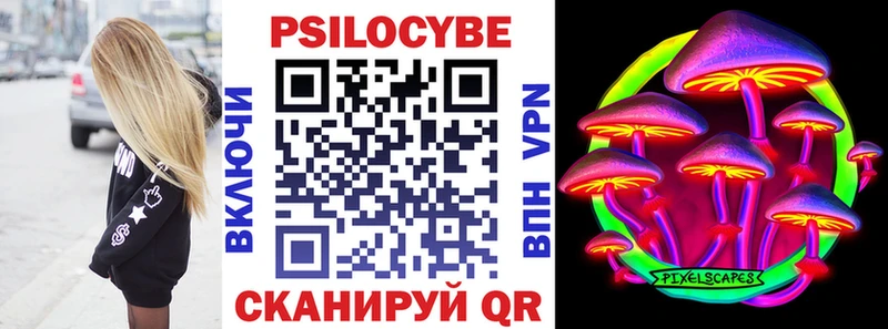Псилоцибиновые грибы Psilocybe  где продают наркотики  Ахтубинск 