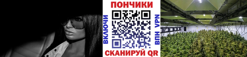 купить наркотики цена  Ахтубинск  блэк спрут ONION  Каннабис AK-47 